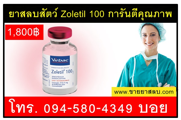 ยาสลบสัตว์ Zoletil 100 การันตีคุณภาพ
